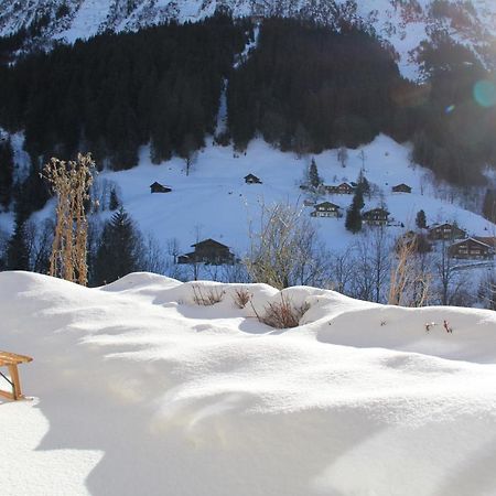 Chalet Pfingsteggblick Гринделвалд Екстериор снимка