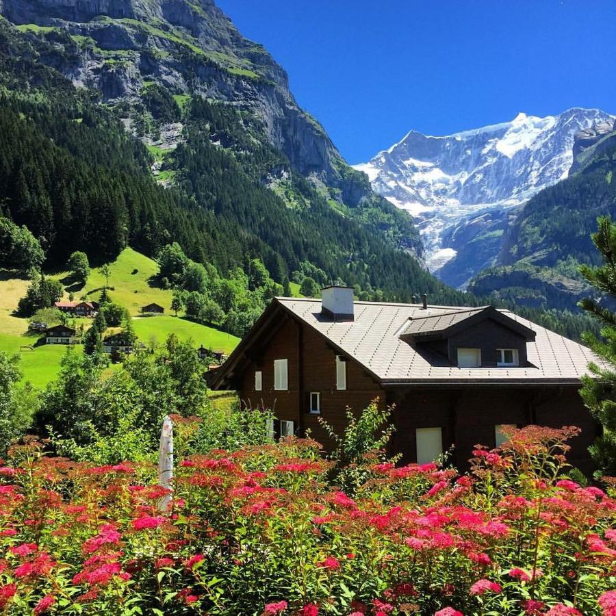 Chalet Pfingsteggblick Гринделвалд Екстериор снимка