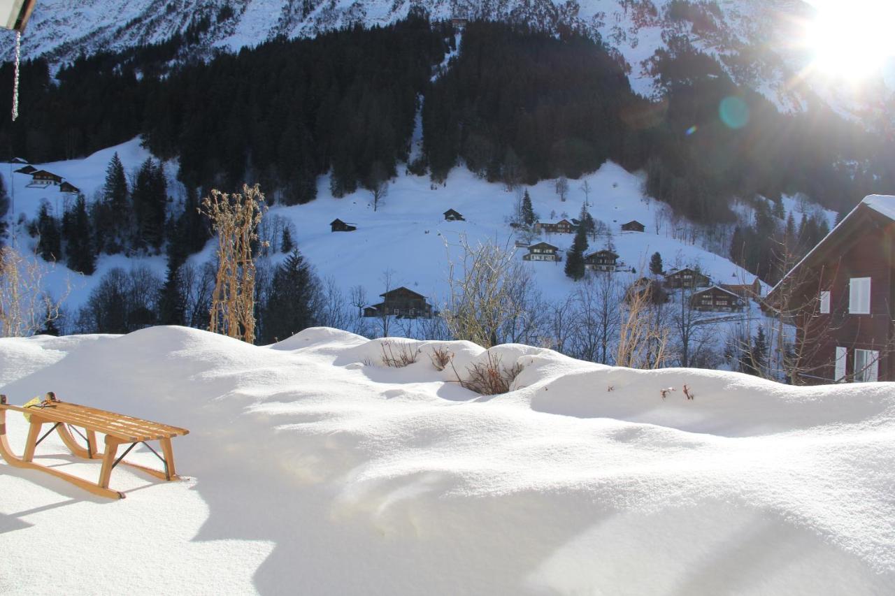 Chalet Pfingsteggblick Гринделвалд Екстериор снимка