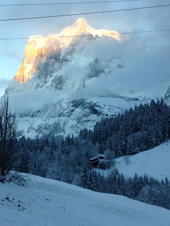 Chalet Pfingsteggblick Гринделвалд Екстериор снимка
