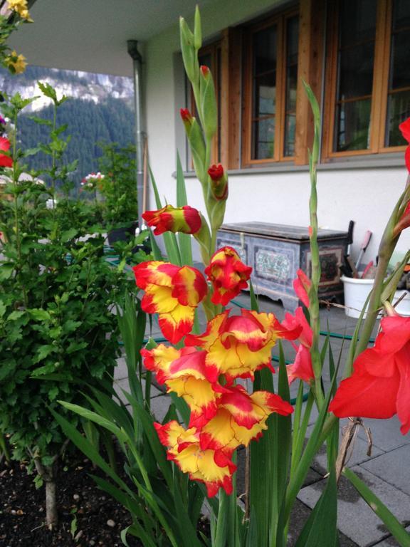 Chalet Pfingsteggblick Гринделвалд Екстериор снимка