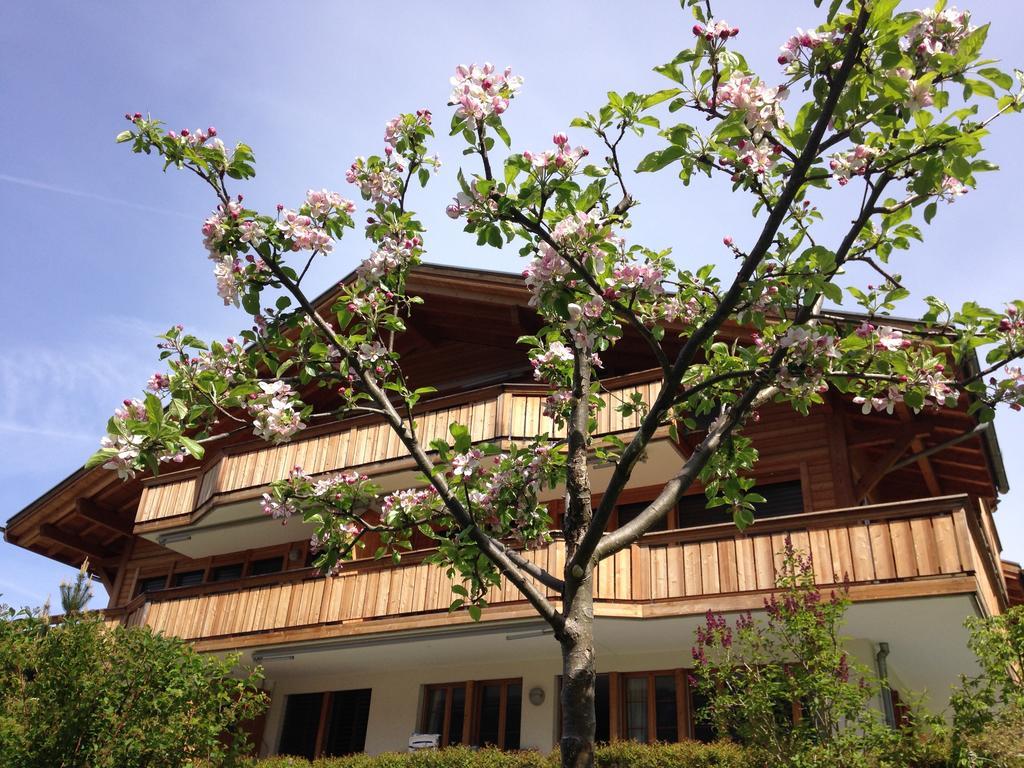 Chalet Pfingsteggblick Гринделвалд Екстериор снимка